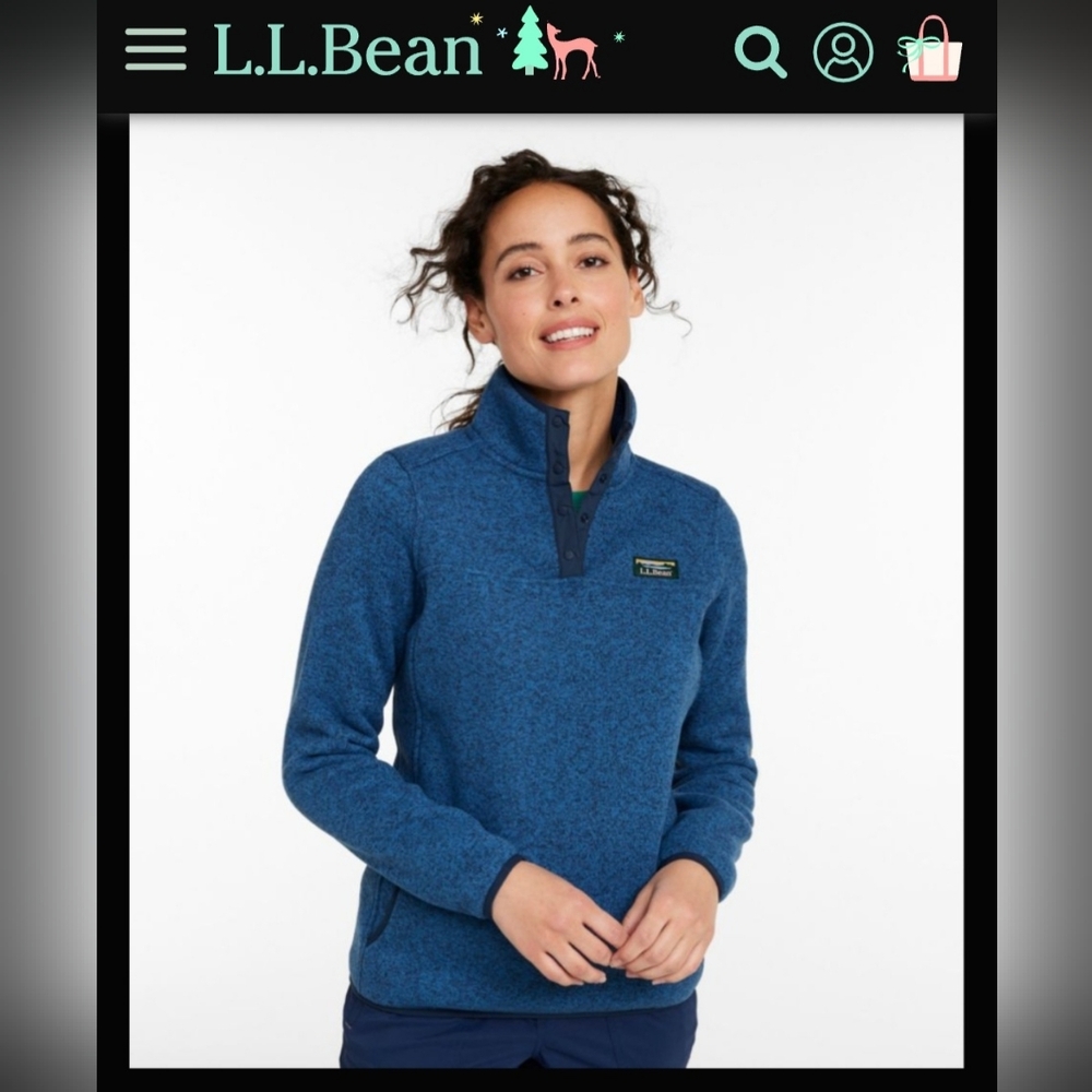 L.L. Bean Blue Half Zip Fleece Sweater